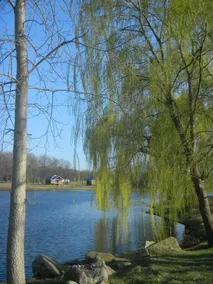 Serenity Springs - Image 4