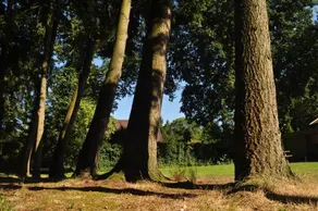 PUUR Lage Vuursche - Image 4
