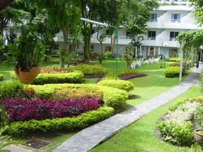 Island View - Image 1