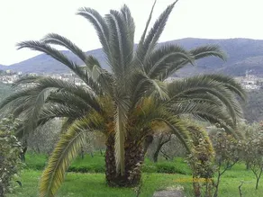 B&B Toffia - Image 4