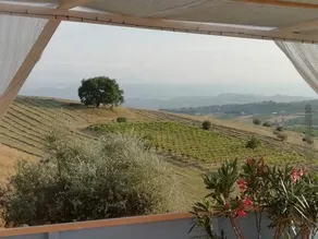 B&B Gli amici del tubarello - Image 4
