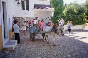 Monte da Amoreira - Image 5