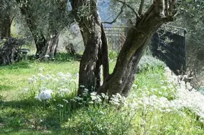 La Bastide Saint Christophe - Image 2