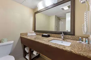 Comfort Inn Research Triangle Park - Image 3