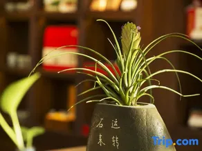 Meicheng Wenlv Hotel (Dengfeng Guanshuyuan) - Image 3