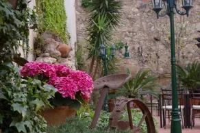 Can Ceret - Image 3