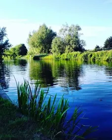 The Boathouse Ely - Image 2