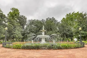Savannah Cityscape - Image 2
