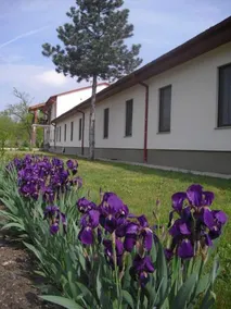 Hotel Panderosa Panzio - Image 4