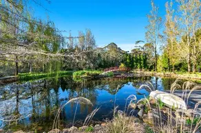 COOKS HOUSE - Image 3