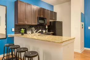 Luxury Apartment 329 - Image 4