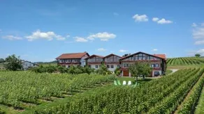 Weinberghof - Image 3