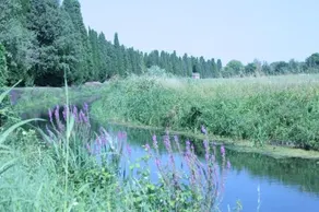 Camping Aquileia - Image 4