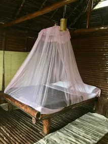 Aranyakam Homestay - Image 3