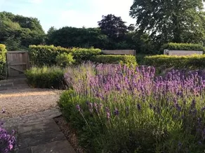 Brittons Farm Estate - Image 2