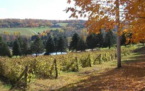 Au Chant de l'Onde - Image 4