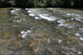 Trinity Waters - Image 3