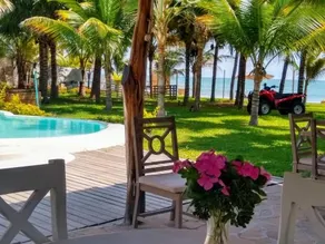 Entre Palmeras - Image 2