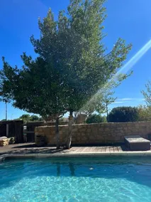 Villa pont du Gard 4 Bedrooms - Image 2
