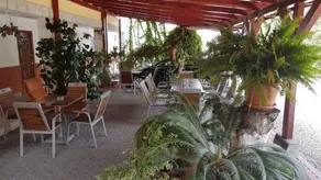 Motel Pacific - Image 2