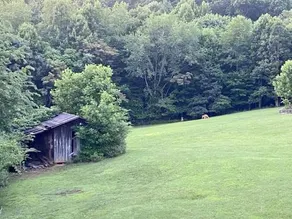 Beautiful 2 Br 1 Ba Cabin in Blue Ridge Mountains: the Little White House - Image 5