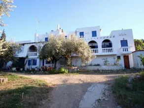 The Olive Branch - Image 3