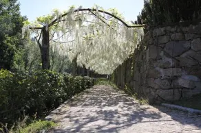 Quinta Do Rossado - Image 3