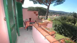 Le palme - Image 4