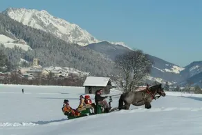 Alpen Chalet Eben - Image 4