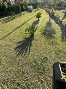 B&B Adema - Image 5