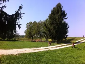 B&B De Carol - Image 2