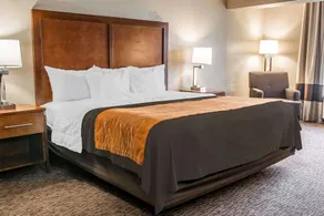 Quality Inn Battle Creek, MI - Image 5