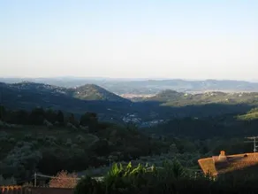 Hotel Dino - Image 5