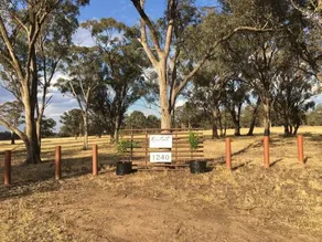 Rostrata Country House - Image 3