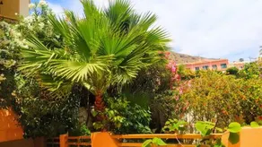 Deluxe Garden Flat Near Terra-Mítica - Image 4