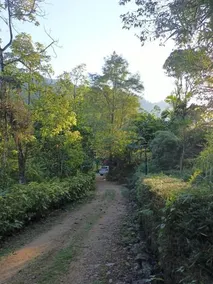 Maskeli Oya Family Park - Image 4