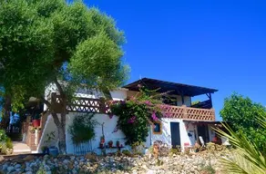 B&B Finca Alegria De La Vida - Image 5
