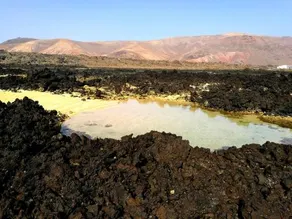 Perla Del Atlantico - Image 3