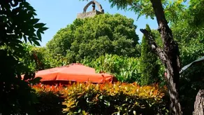 El Pati - Image 3