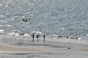 Le Braz Saint Lunaire - Image 4