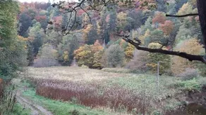 Tweed View B&B - Image 3
