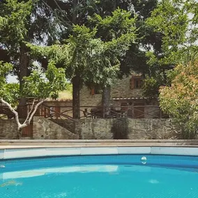 La Capannina - Image 5