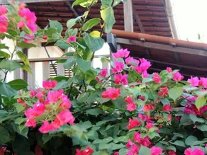Natura Hostel Jeri - Image 2