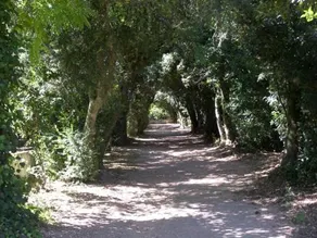 Monte da Amoreira - Image 3