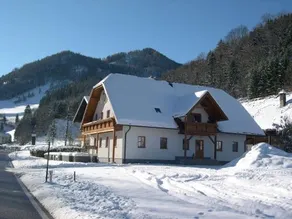 Wohnung mit Grill und Garten | Bergblick - Image 3