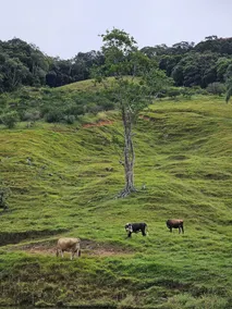 Refúgio da Montanha - Angelina - SC - Image 3