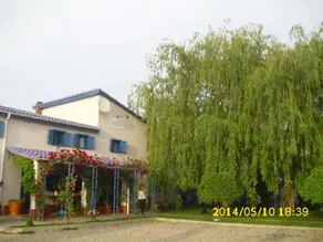 Pension Giulia - Image 5