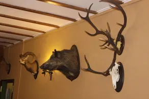 Hostal La Zarza - Image 2