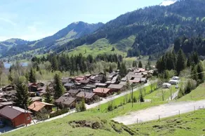 Jasmin - Image 4