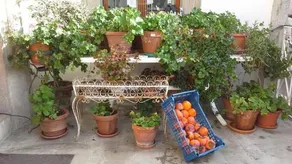 Villa Della Contessa - Image 2